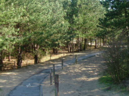 doornbossen
